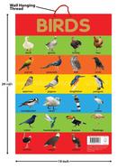 Birds - Early Learning Educational Posters For Children