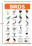Birds - My First Early Learning Wall Posters