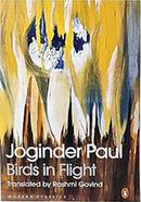 Birds in Flight
