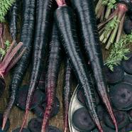 Black Carrot 