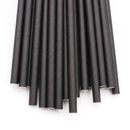 Black Eco Friendly Plastic Paper Straw (20 Pcs) - JRXG-CSB