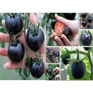 Black Tomato 