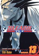 Bleach 13