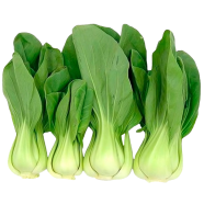 Bok Choy Seeds 100 Plus pcs Re-Pack