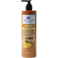 Boots Natures Series Ginger Conditioner Pump 480 ml - 142800381