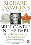 Brief Candle in the Dark