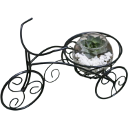 Brikkho Hat Rickshaw Planter Terrarium - 317