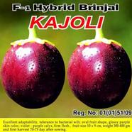 Naomi Seed Brinjal Kajoli - 1 gm