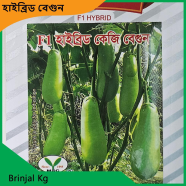 Brinjal Seeds- Brinjal Kg