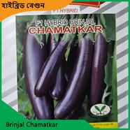 Brinjal Seeds- Chamatkar