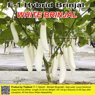 Naomi Seed Brinjal White - 0.5 gm