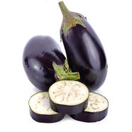 Brinjal Seed 