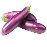 Brinjal Seed - Long