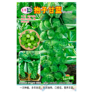 Brussels Sprouts Seeds - 20pcs