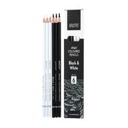 Brustro Artist Black and White Charcol Pencil
