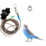 Budgerigar Bird Anklet Ring With 2m Elastic Harness Set