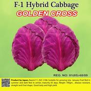 Naomi Seed Cabbage Golden Cross - 1 gm