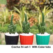 Brikkho Hat Cactus Tri Set - 1 ( Red, Black, Green) - 208