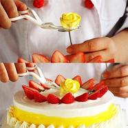 Cake Flower Lifter Cake Decorating Tool - C007123 icon
