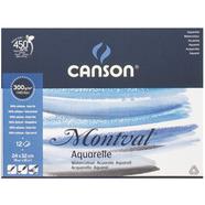 Canson montaval watercolor paper 300gsm- 10 Sheets