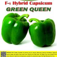 Naomi Seed Capsicum Green Queen - .5 gm