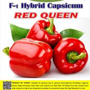 Naomi Seed Capsicum Red Queen - .5 gm