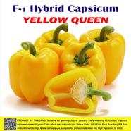 Naomi Seed Capsicum Yellow Queen - .5 gm 