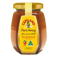 Capilano Pure Honey Glass Bottle 250gm (Australia) - 131700947