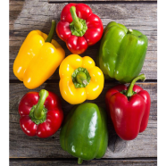 Capsicum Seed 