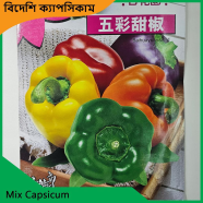 Capsicum Seeds- Mix Capsicum