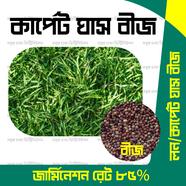 Carpet Grass Seeds 0.5gm Re-Pack Thailand