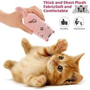 Cat Chew Toy Bite Resistant Catnip Toys For Cats