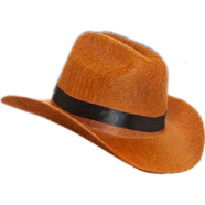 Cat Cowboy Hat || Funny Pet Hat for Puppy Cat icon