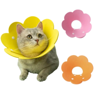 Cat and Dog Sunflower E Collar icon