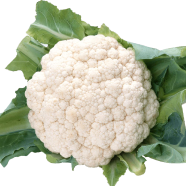 Cauliflower Seeds - 0.1Gm