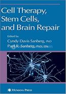 Cell Therapy, Stem Cells and Brain Repair