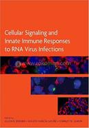 Cellular Signaling and Innate Immune Responses to RNA Virus Infections