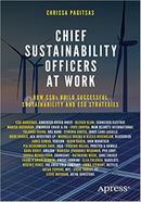 Chief Sustainability Officers At Work