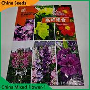 China Mix Flower Seeds- China Mix Flower 1