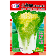 Chinese Napa Cabbage Seeds Imported Seeds Re-Pack - 10 pcs