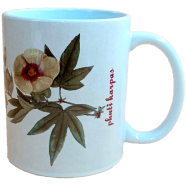 Chintar khorak Mug