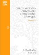 Chromatin and Chromatin Remodeling Enzymes - Volume 375