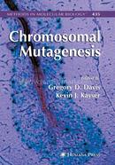 Chromosomal Mutagenesis: 435 (Methods in Molecular Biology)
