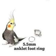 Cockatile Bird Anklet/ Leg Ring for Pet Bird Accessories