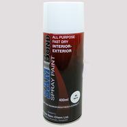 Color Spray Paint Sam Bond 400ml - White icon