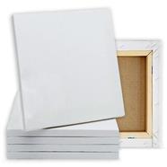 Combo 5pcs Canvas for Painting 20/24