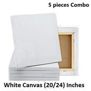 Combo of 20/24 Inches Drawing Canvas White - 5 pieces