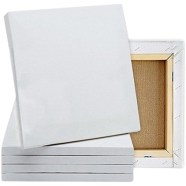 Combo of 20/30 Inches Drawing Canvas White -5 pieces