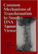 Common Mechanisms of Transformation by Small DNA Tumor Viruses