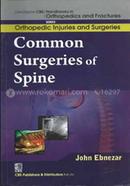 Common Surgeries of Spine - (Handbooks in Orthopedics and Fractures Series, Vol. 59 : Orthopedic Injuries and Surgeries)